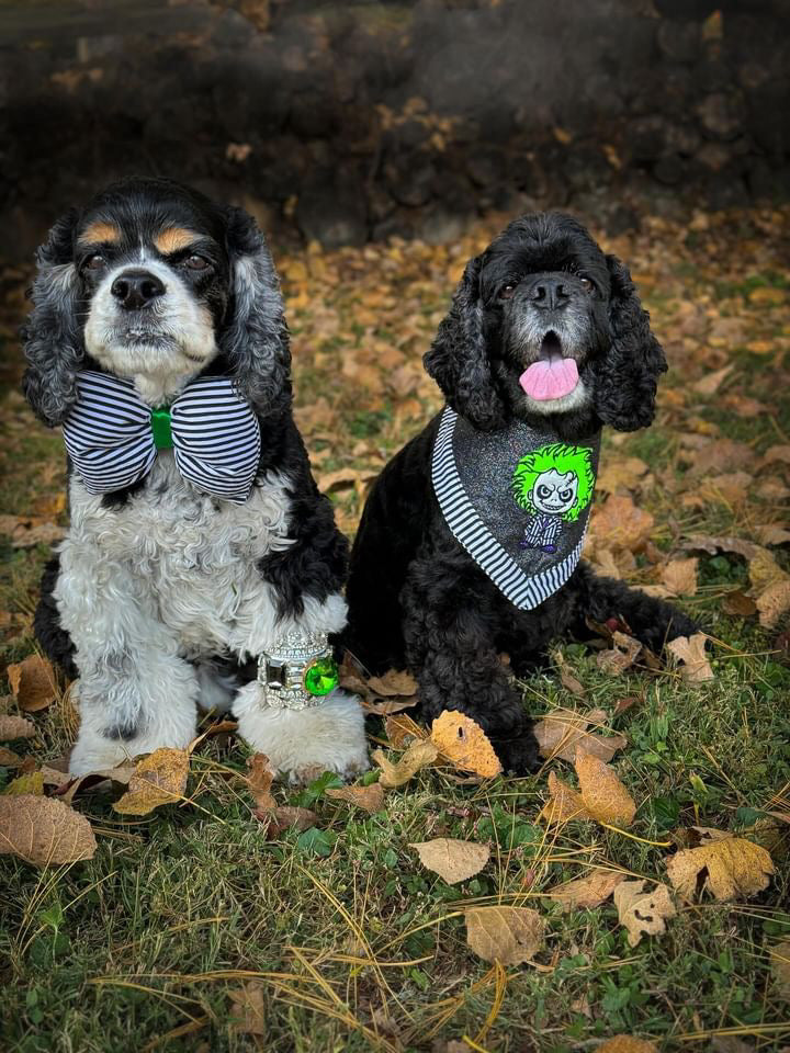 Beetlejuice Inspired Dog Bandanna - Handmade Couture Halloween Dog Accessory