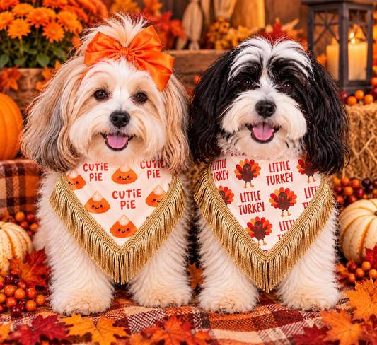 Little Turkey & Cutie Pie Reversible Thanksgiving Dog Bandana | Optional Gold Fringe