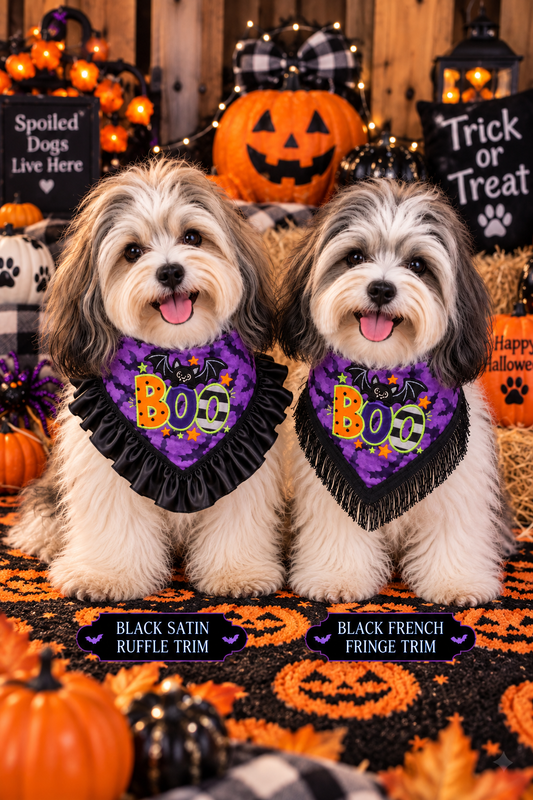 Halloween BOO Bat Appliqué Embroidered Dog Bandanna