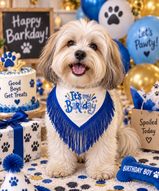 It’s My Barkday! Boys Embroidered Reversible Couture Dog Bandanna