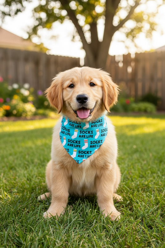 Socks Are Life / Ball Is Life Reversible Cotton Dog Bandana